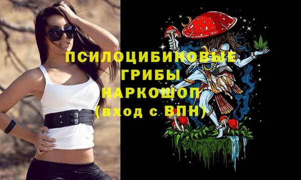 амф Абдулино