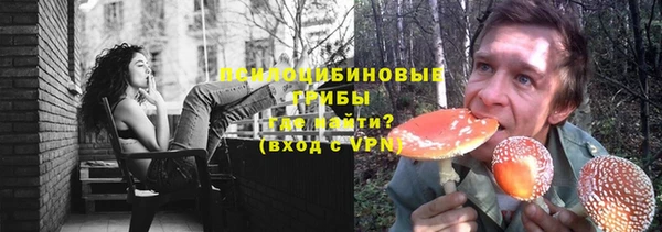 экстази Алексин