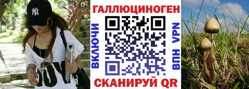 где купить   Топки  Галлюциногенные грибы ЛСД 