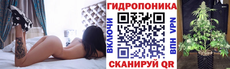 закладка  Топки  Канабис сатива 